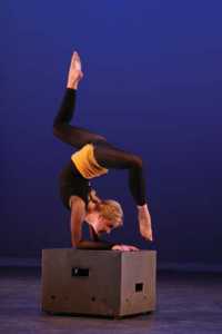 Stage Boxes - Large