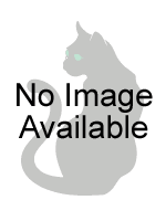 No image available