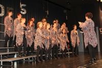 DEM A-CAPPELLA LADIES BARBERSHOP CHOR AUS BADEN-WÜRTTEMBERG GEFÄLLT DIE WENGER TOURMASTER CHORTREPPE 