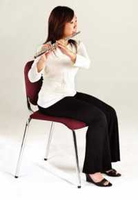 Премьер Нота стул