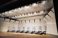 Раковина Лэгеси - суженная вершина